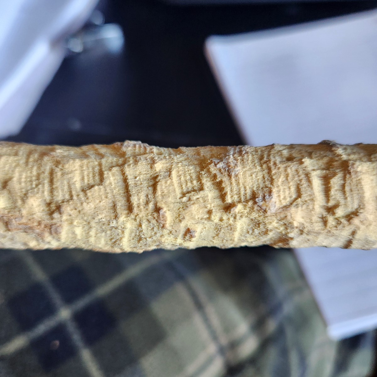 A section of a pale stick, showing the hundreds of teethmarks.