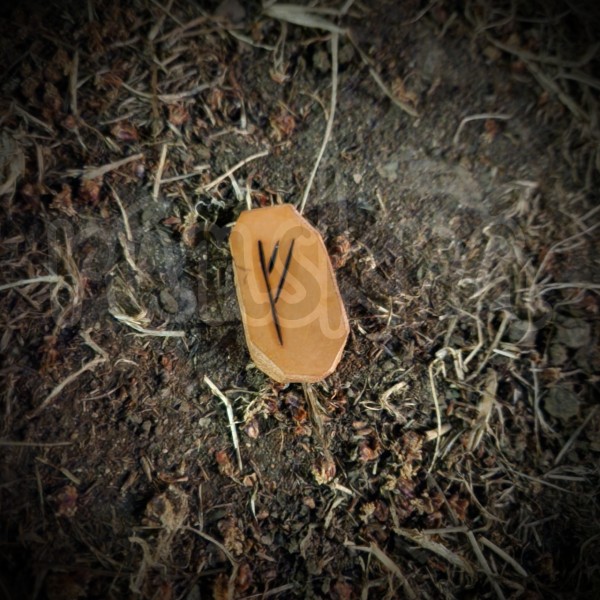 The rune Fehu, woodburned into a leather tile, resting in dirt and grass.