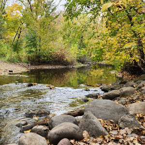 Photo of a placid creek surrounded by autumnal trees