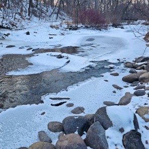 A winter creek partially frozen, with exposed flowing water near the Giantess’s Glade.