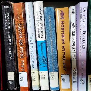 Several library books having to do with Old Norse mythology and its interpretation.
